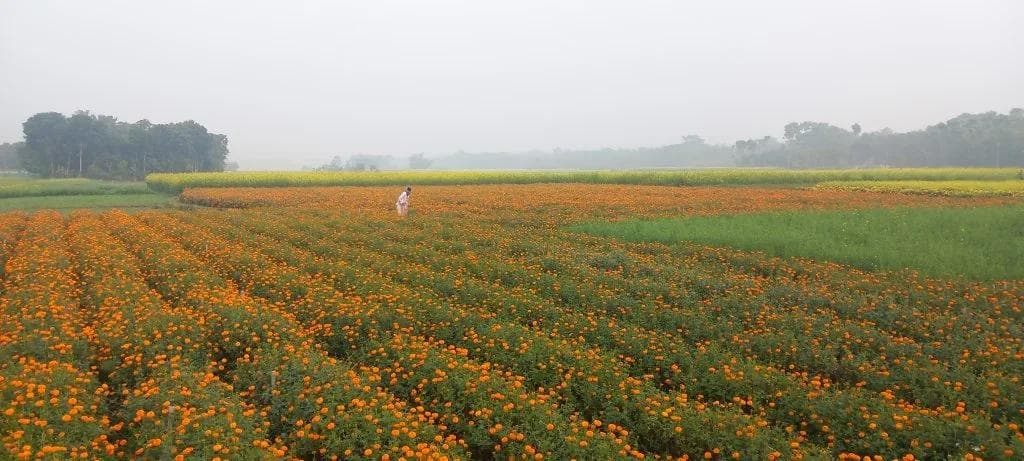 Indien 2024 - Foto 39
