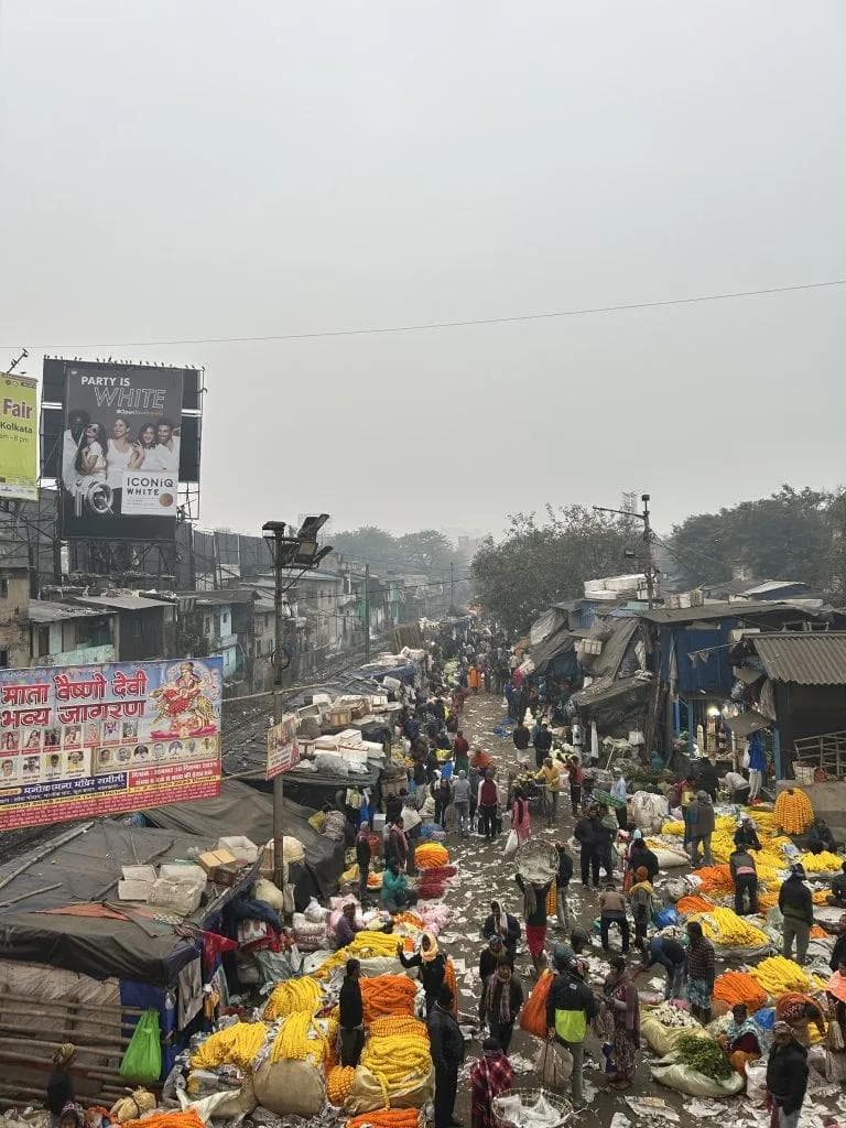 Indien 2025 - Foto 1