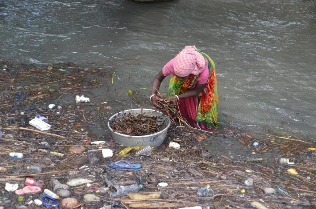 Indien 2022 - Foto 21