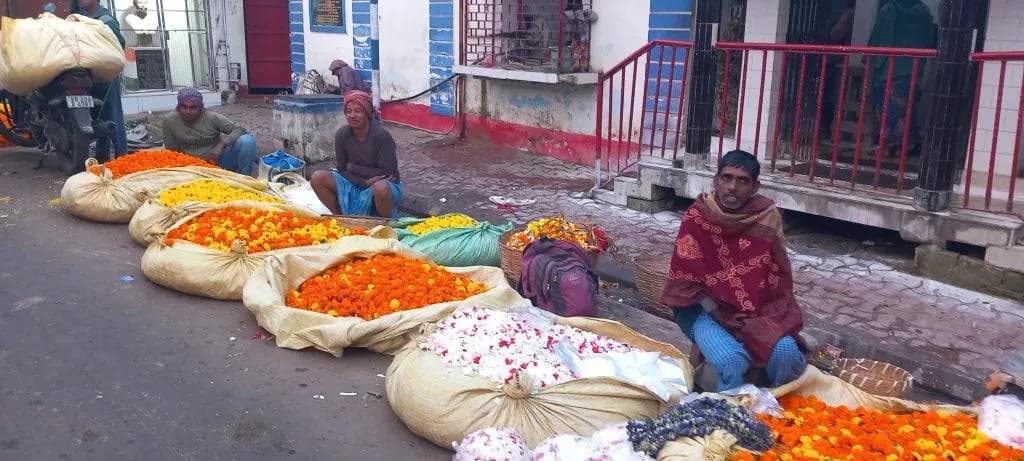 Indien 2024 - Foto 4