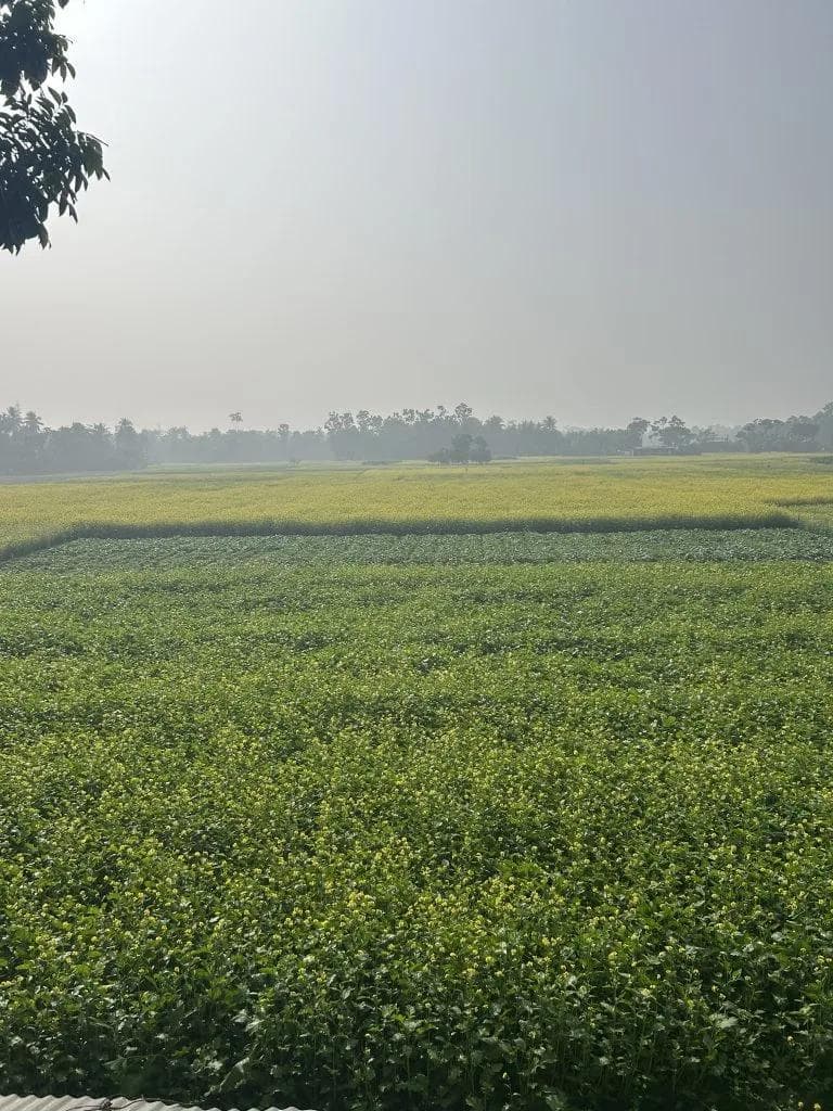 Indien 2025 - Foto 5