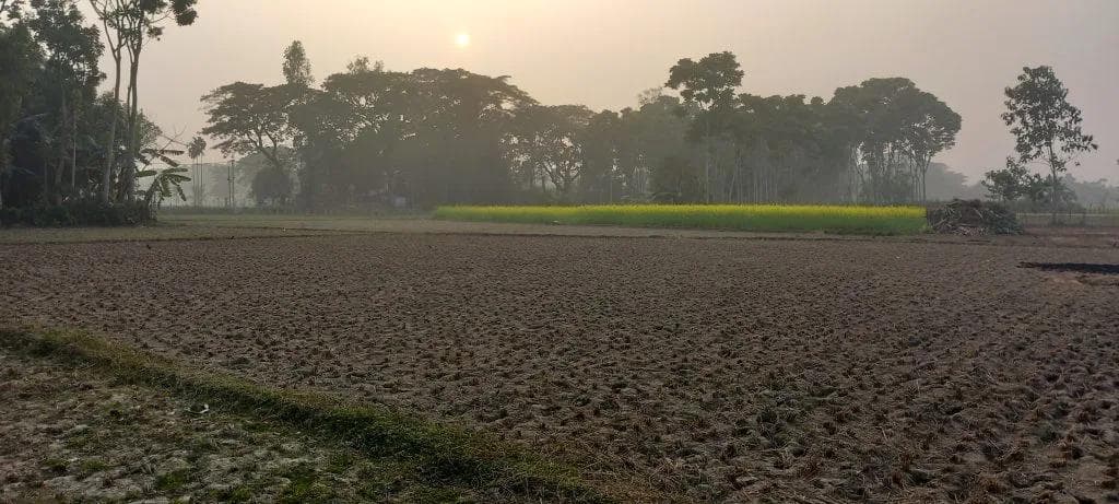 Indien 2024 - Foto 21
